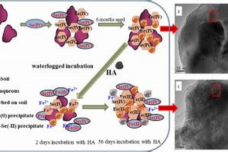 青苔可以施肥和打农药吗