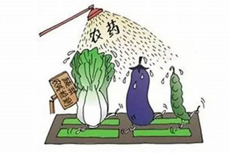 山药在几月份用肥？用什么肥料好？