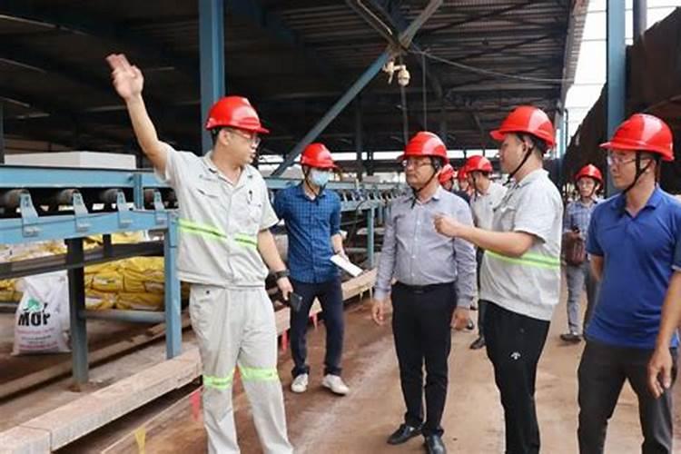 什么化学原料能把毛发融化做成氨基酸水溶肥