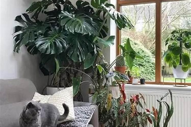 我打算用鸡粪生产有机肥,请问需要什么设备？