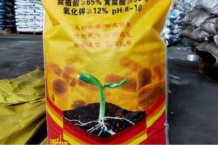 油菜怎么施肥