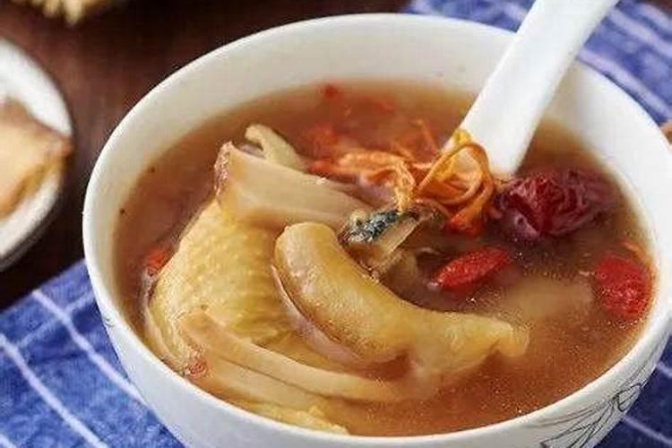 圣诞树最好的肥料是什么？