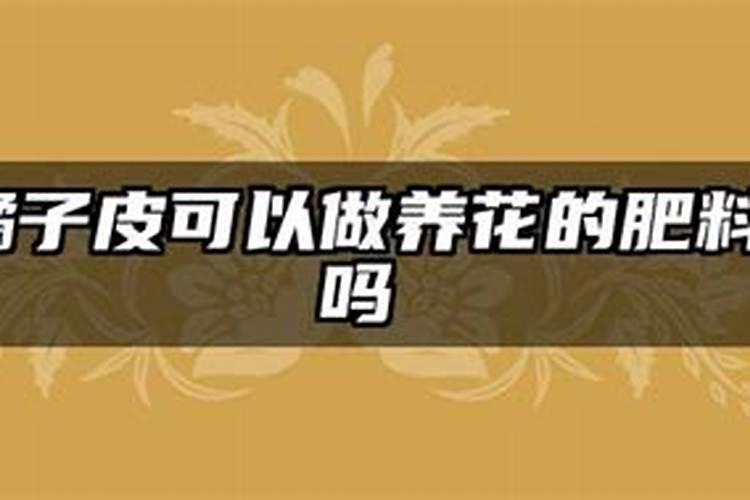 发酵水果皮属于氮肥吗