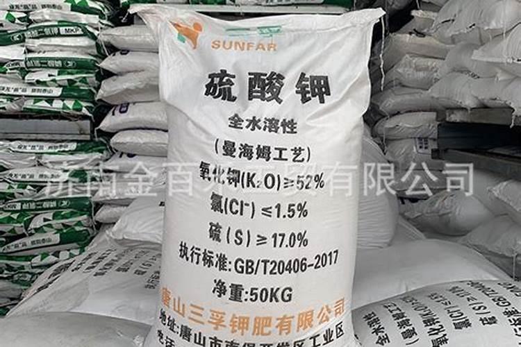 盆栽车厘子施什么肥最好