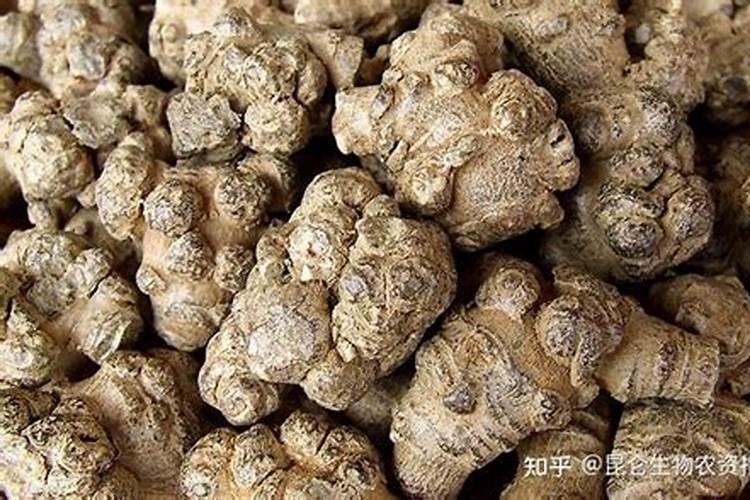 田七施什么肥长的叶子大而肥