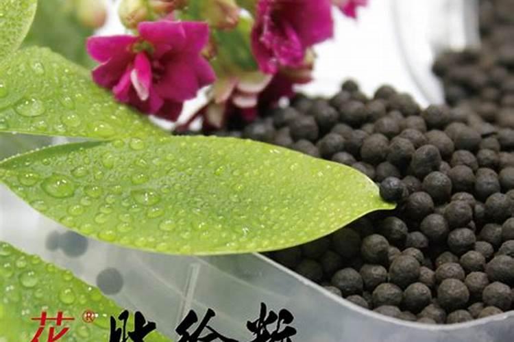 有机肥可以直接种花吗
