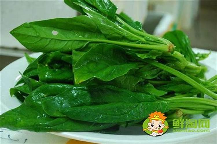 种菠菜用什么肥料 四季应该怎么办