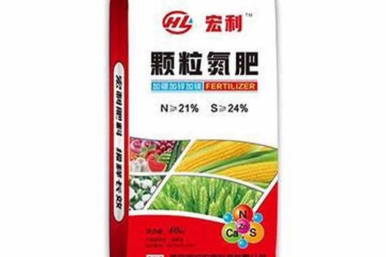 小叶黄杨的养殖方法和注意事项