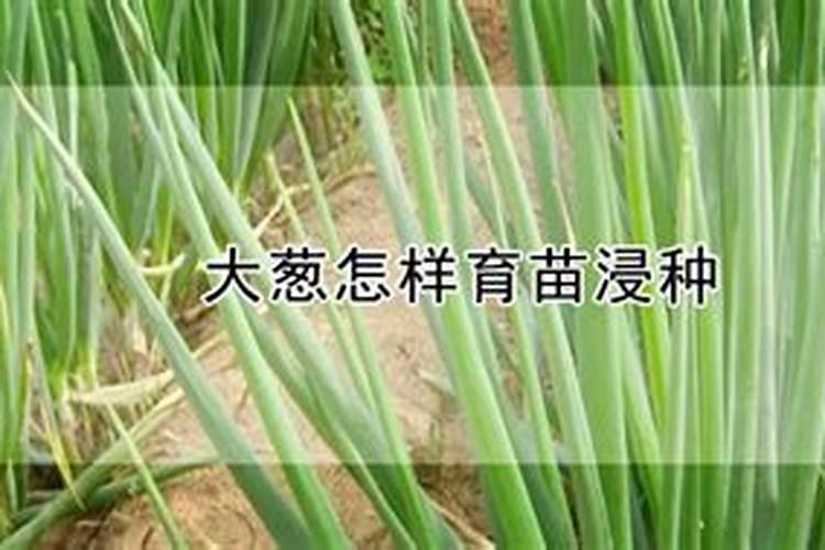 腐植酸肥料的作用和使用方法