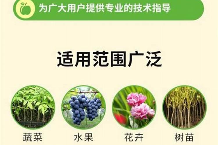 红牛化肥是大厂子吗