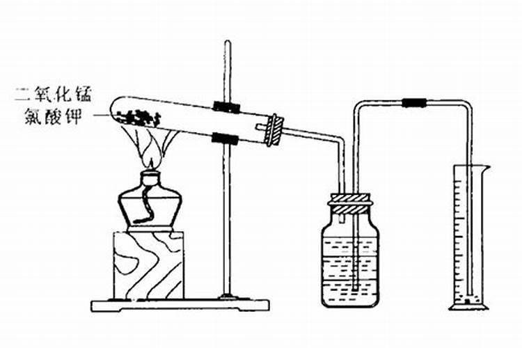 茶花在什么环境下生长最好？