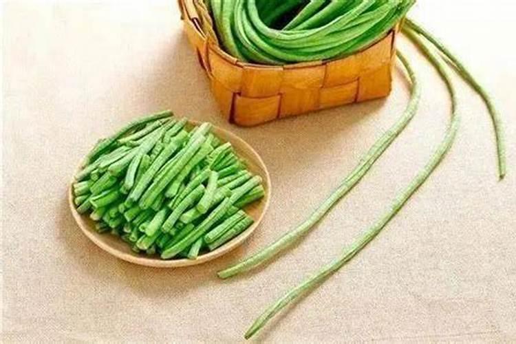 想要大面积种植豆角,豆角的水肥管理技术要点有哪些？