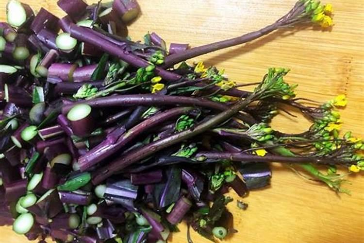 种植辣椒在花期喷硼肥时,都有哪些注意事项