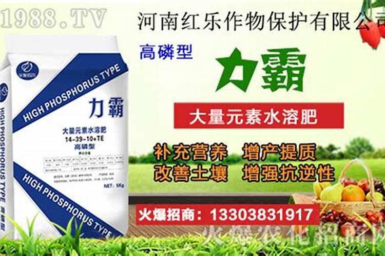 磷肥是什么肥料