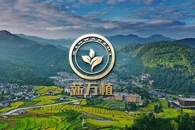 控释肥与普通肥料相比,有哪些优缺点？