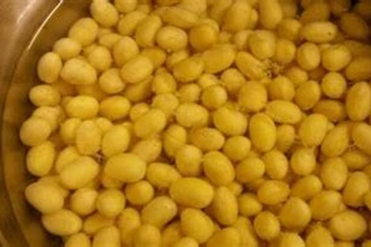 春天正在施肥不要买氮磷钾肥你可以自己在家做!