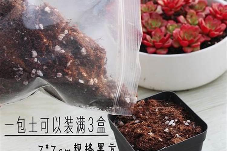 多肉植物能用真空包装吗？