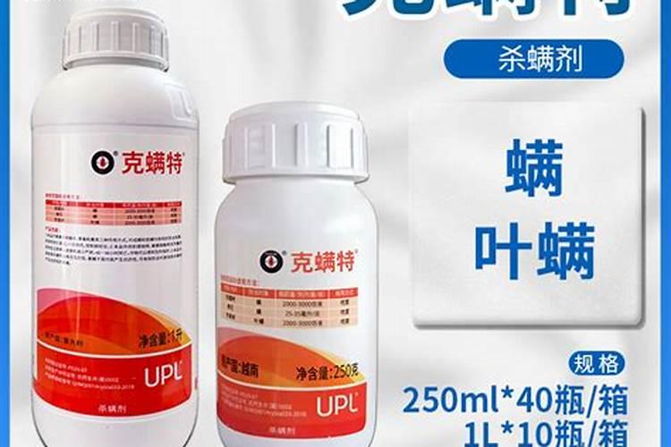 龙须树施什么肥最好