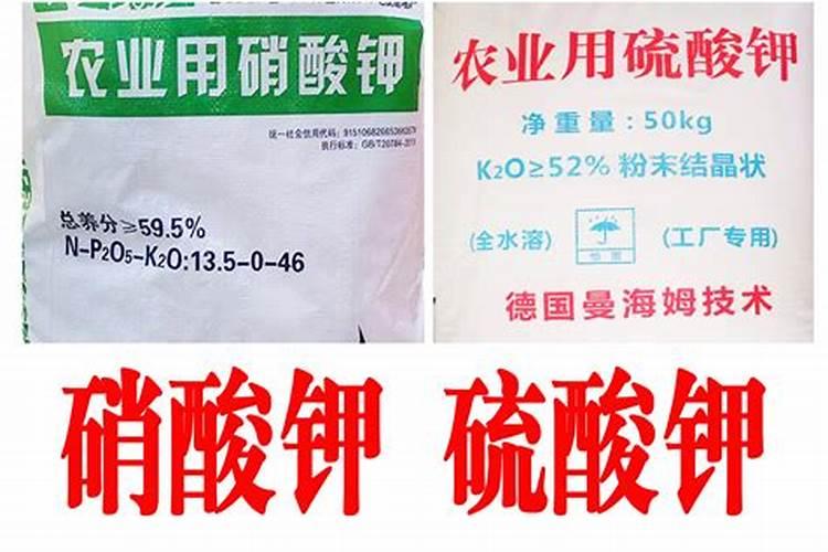 第2年的桃树秋施基肥用多少量,什么含量的