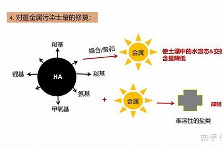 什么是腐殖质？