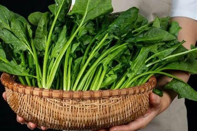 春天果树头遍药打什么