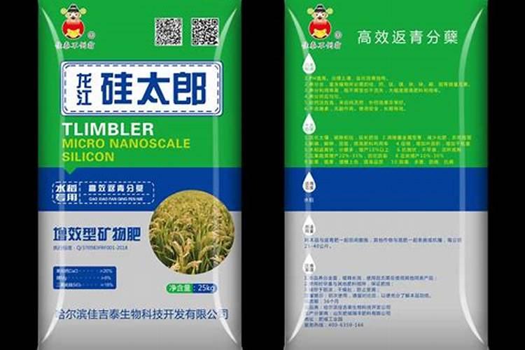 棉花树的习性和分布？