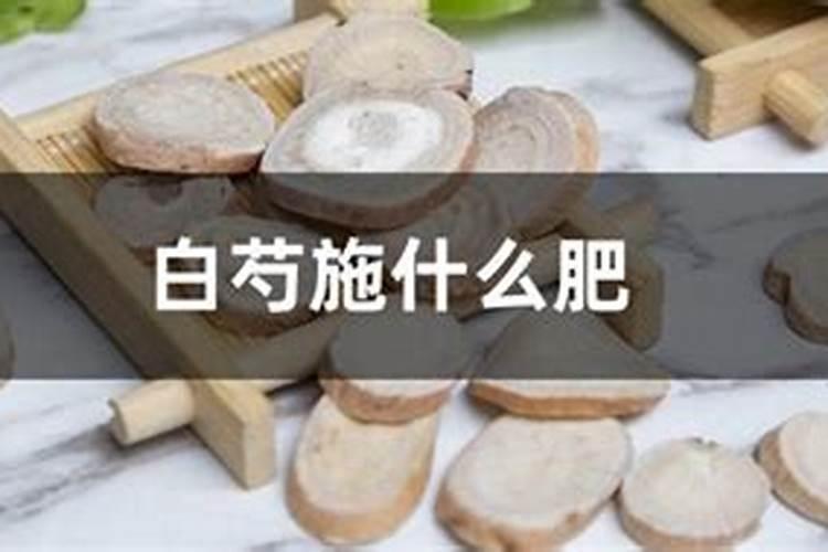 白芍可用哪些肥料