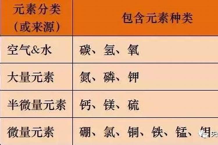什么蔬菜水果含微量元素多？