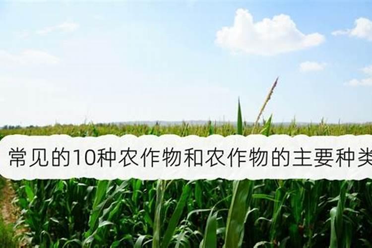 我是做肥料的想了解农作物的16大元素,都是哪16大元素