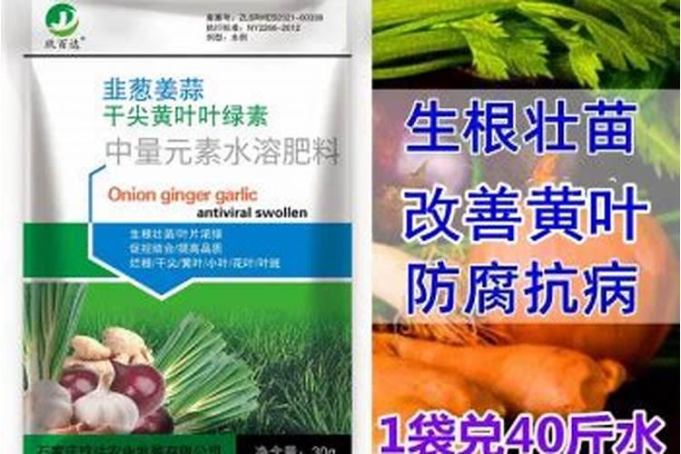 冲施肥用什么钾肥好