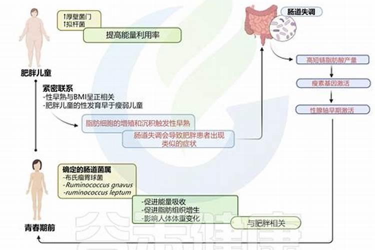 大肥王和催花王有区别吗