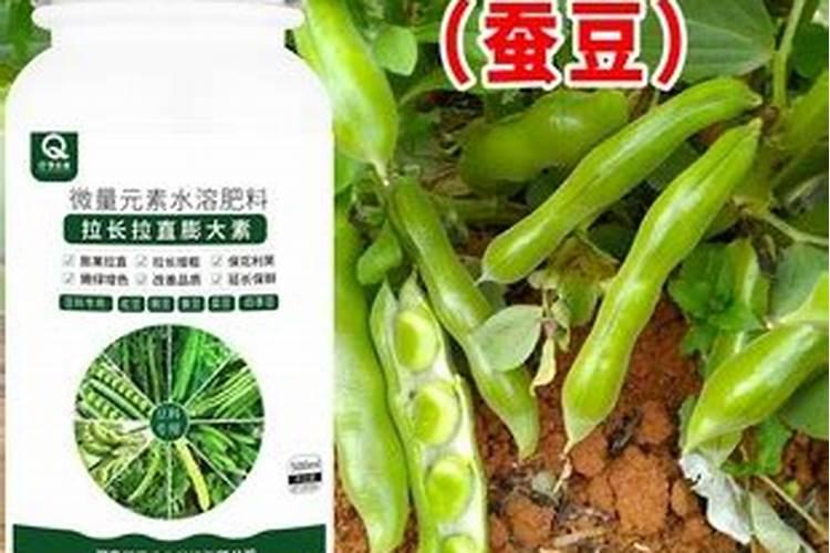 芸豆花期打什么叶面肥