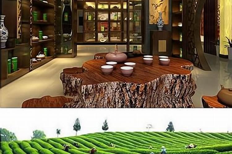 白茶施什么肥最好