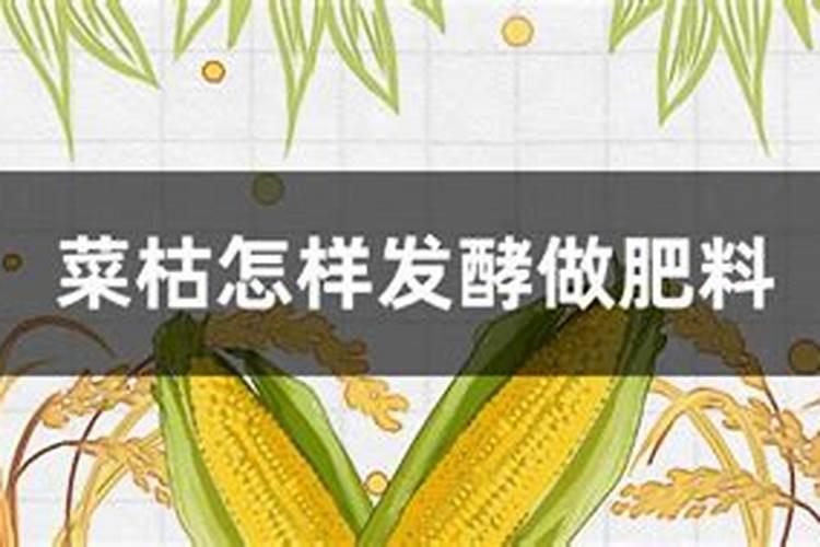 辣椒果实老是坏,好像有圆疤痕一样,一直用菜枯发酵的水施肥,求高手指教...