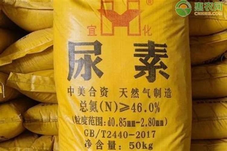 富硒玉米和普通玉米营养一样吗