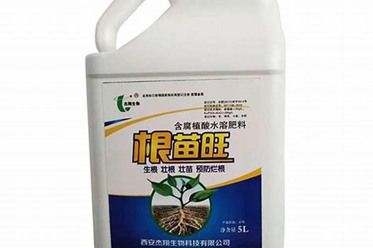 草莓旺长怎么办？用什么水溶肥好？