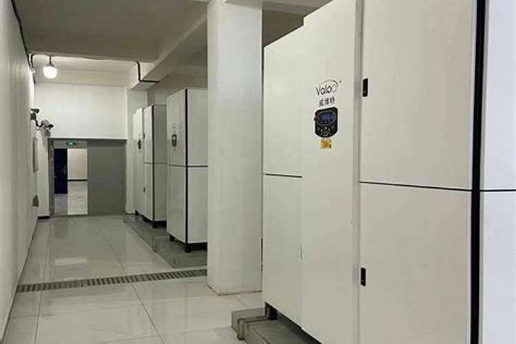 唐山云竹怎样养长得好