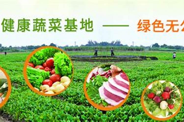水溶肥十大名牌,摩力水溶肥效果极好