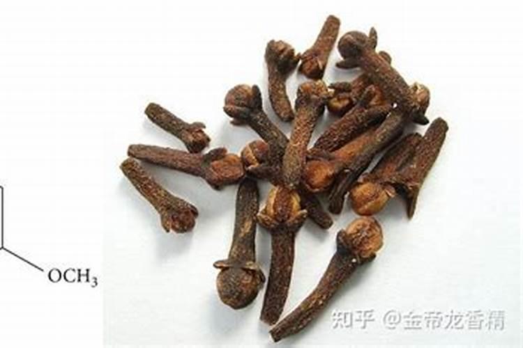 为什么我家种的木瓜老是有针蜂侵入入′？