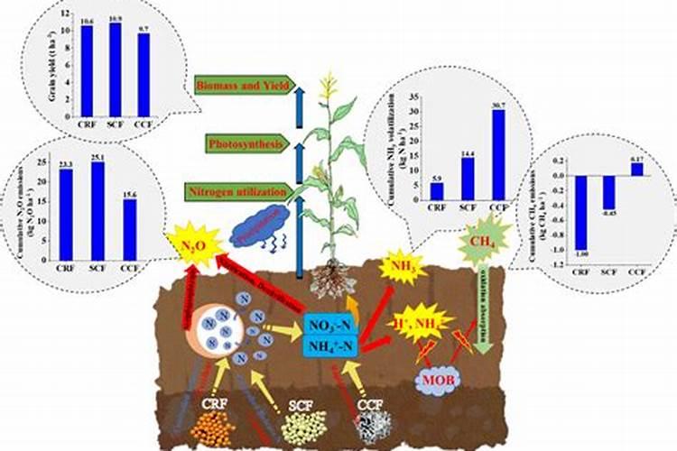 种植苹果树的注意事项