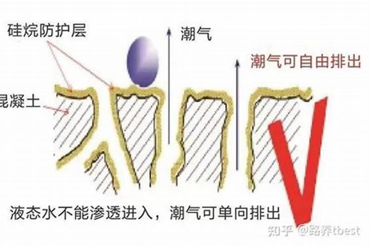 肥料洒在钢筋上变色了,求助