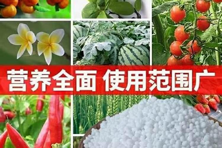 种菜用什么有机肥料最好