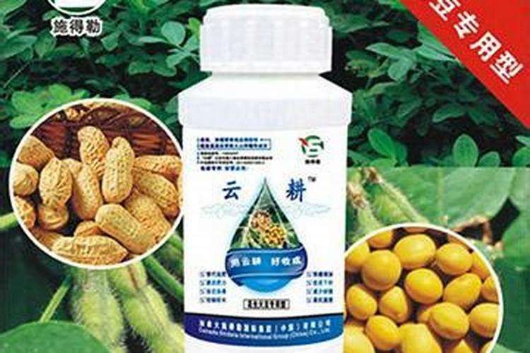 花生啥时候打叶面肥