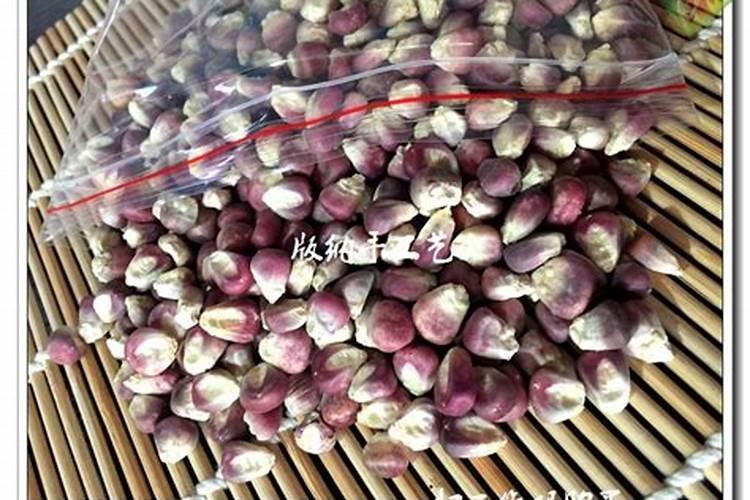 玉米种植方法步骤