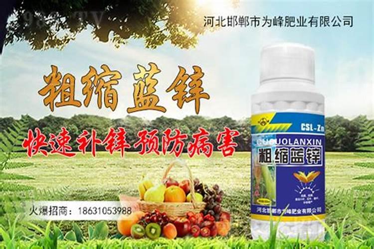 老师,这是玉米什么病害？怎样有效防治,谢谢!