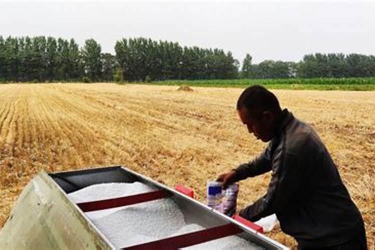 一亩玉米地该施多少肥料？