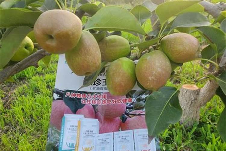 为什么年年都在施钾肥,作物却还是缺钾？