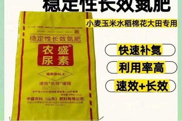 橙梦露好度夏吗