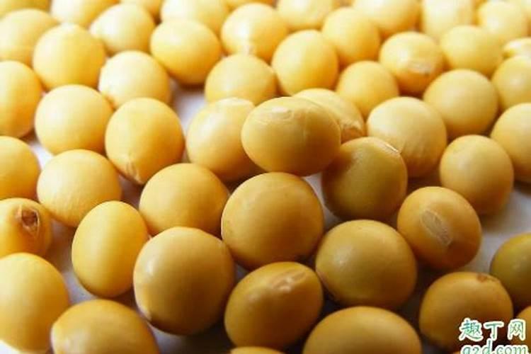 黄豆做肥料注意的事项怎么正确制作花肥 黄豆制作花肥的方法