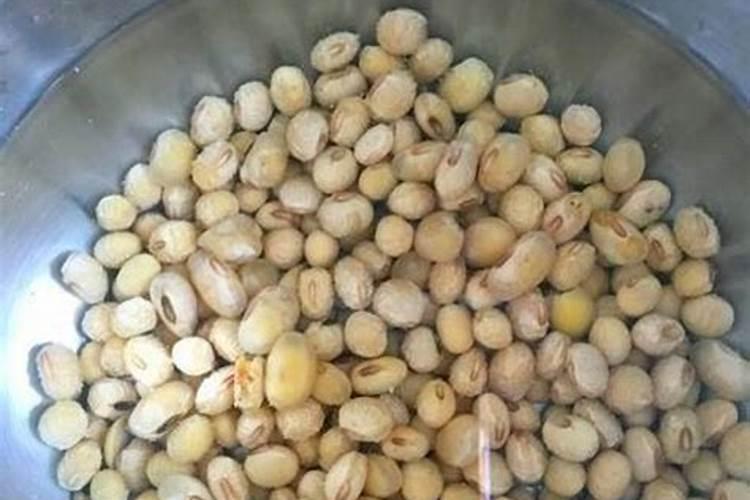 黄豆做肥料注意的事项怎么正确制作花肥 黄豆制作花肥的方法